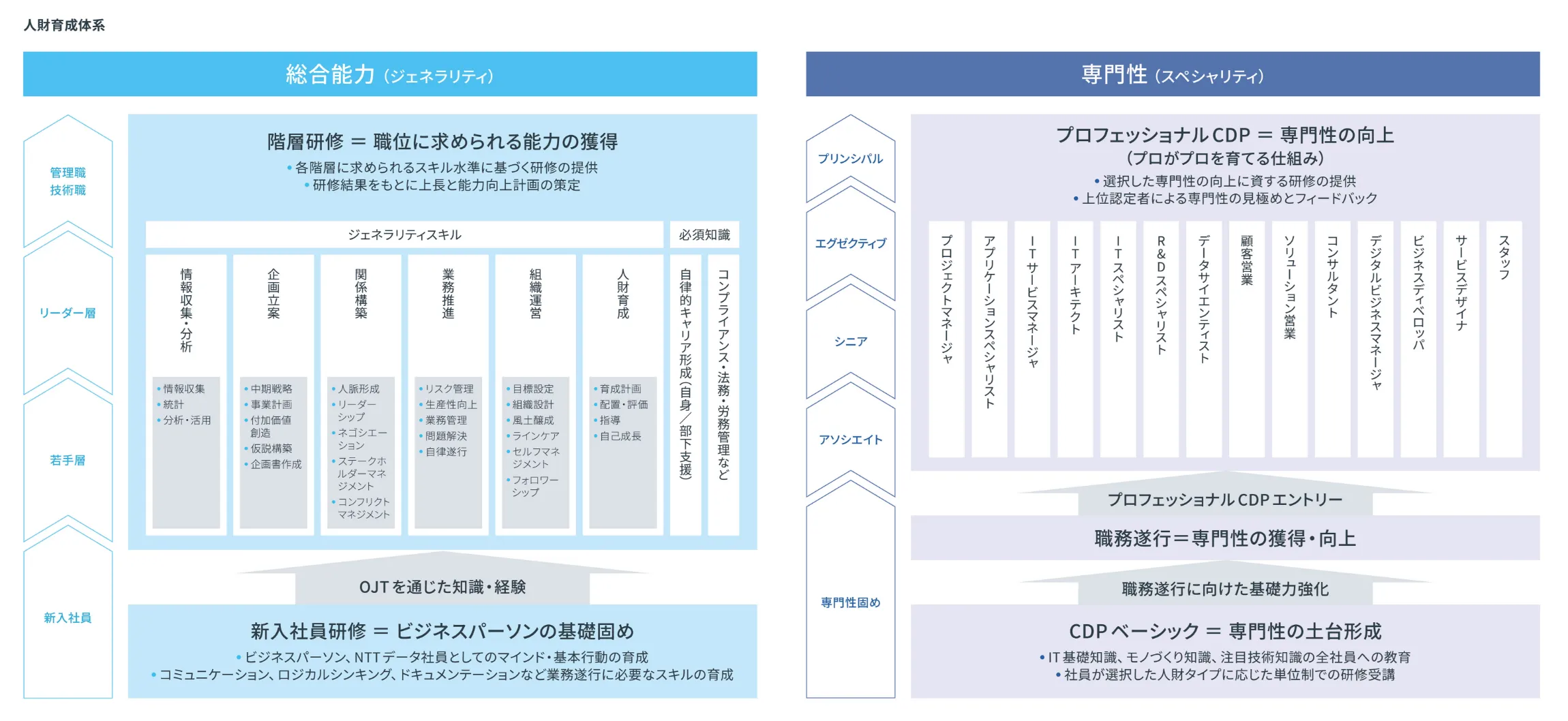 人財育成体系